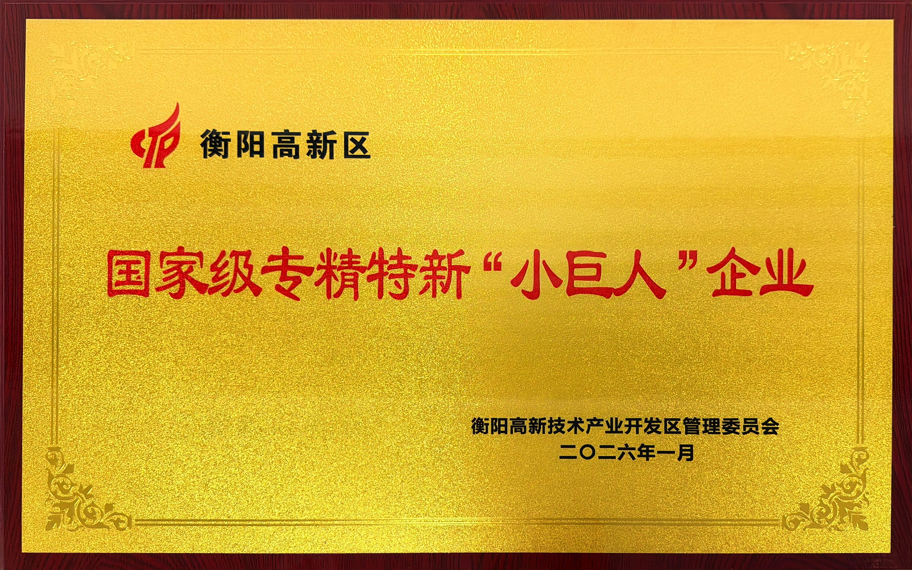 國家小巨人企業(yè)牌匾.jpg